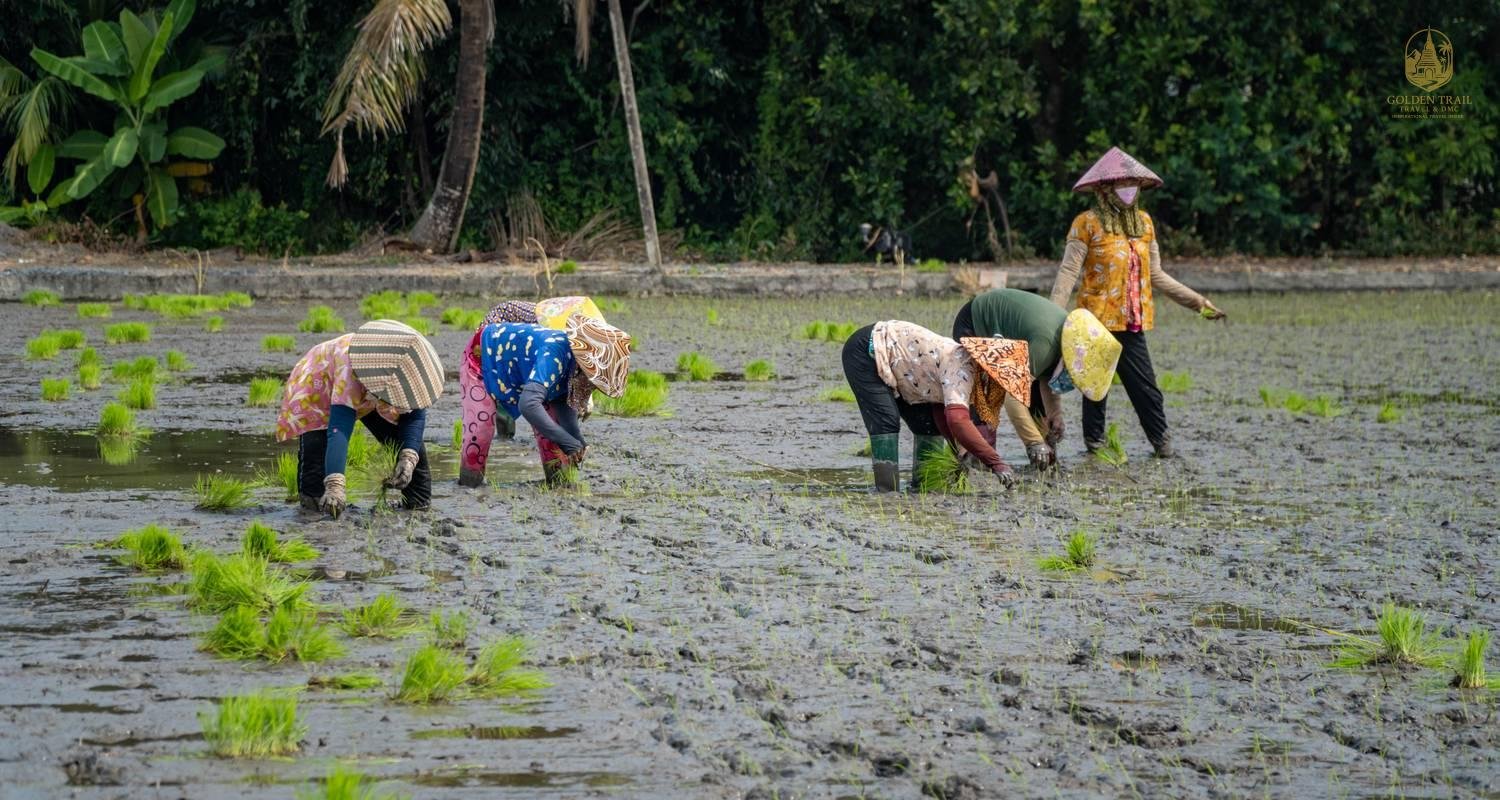 Vietnam's Ultimate Gravel: 14-Day Ho Chi Minh Trail to Coast Tour